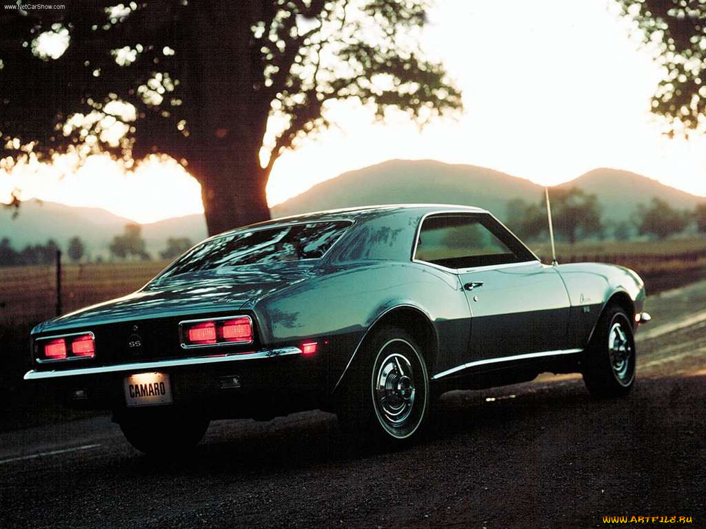 , camaro